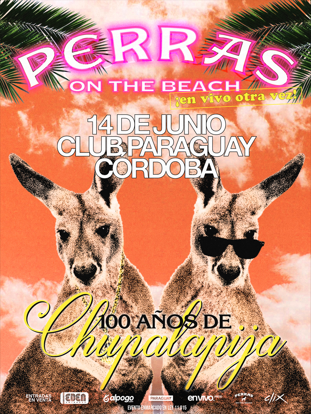 Flyer Perras on the Beach - Córdoba
